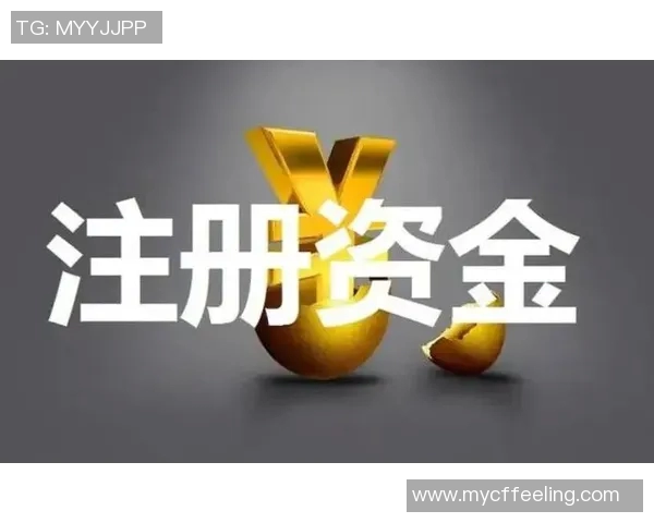 财务注册流程详解及注意事项，助力企业轻松完成财税合规工作